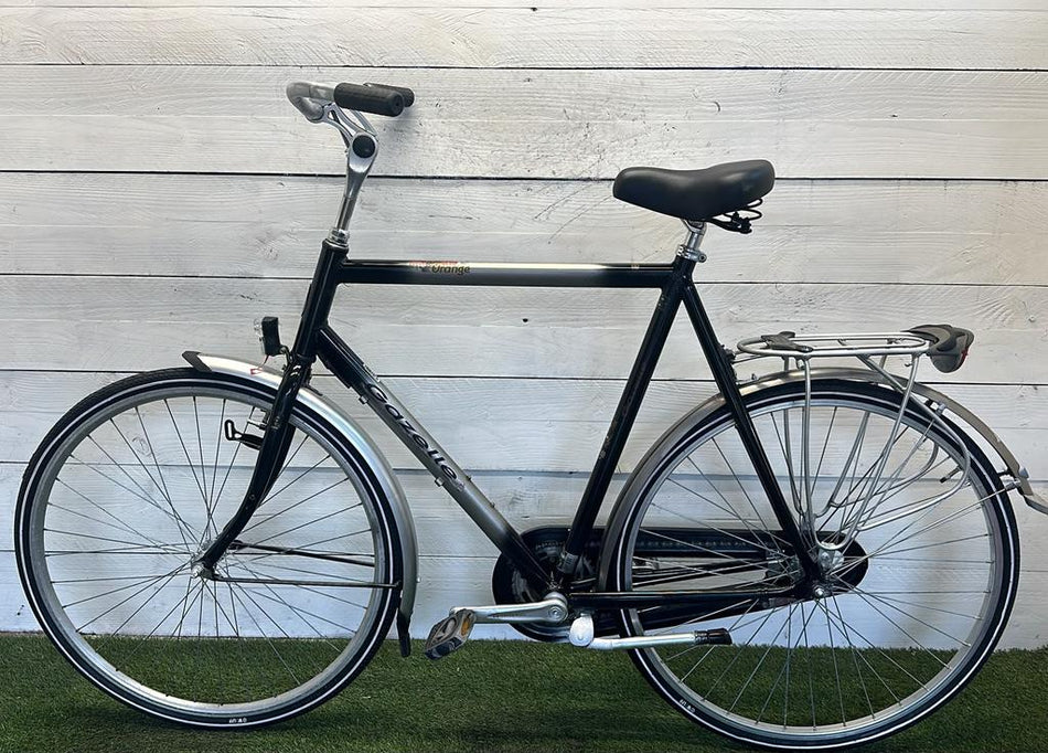 Gazelle Orange