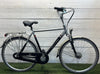 Gazelle Orange
