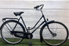 Gazelle Primeur