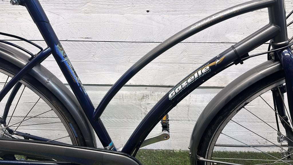 Gazelle Sky Drive - Vergrote foto
