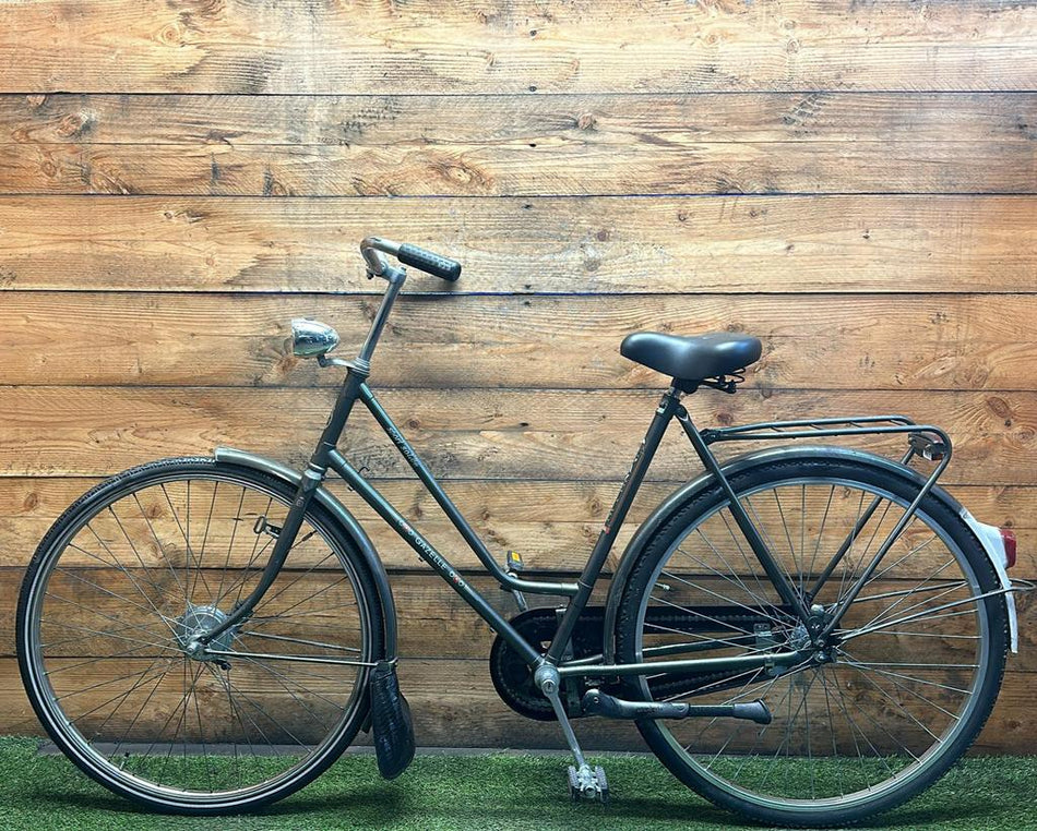 Gazelle Sport Solide