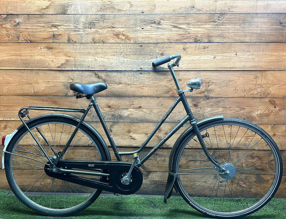 Gazelle Sport Solide