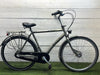Gazelle Xanta