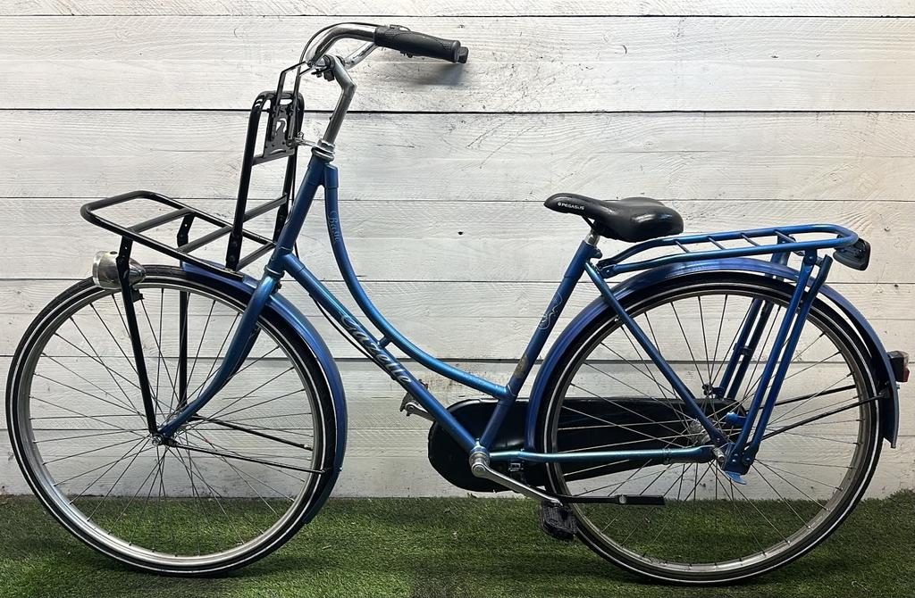 Gazelle Basic - Vergrote foto