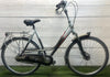 Gazelle Cadiz