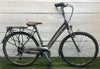 Gazelle Fuente