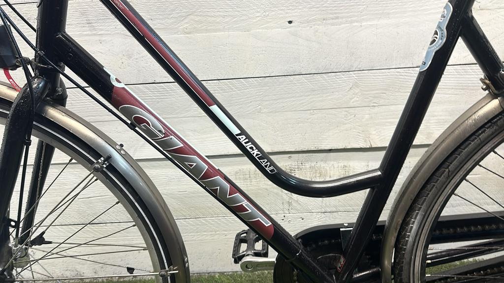 Giant Auckland - Refurbished tweedehands fiets - Detail 3