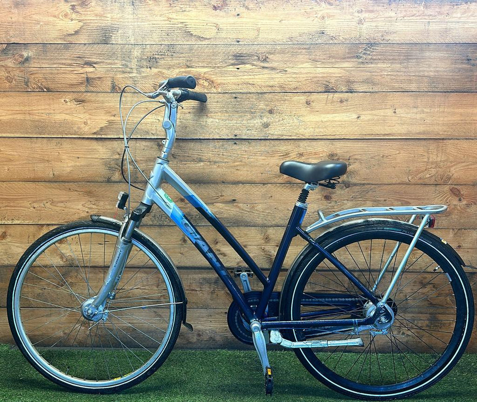 Giant Cosmos 7v 28inch 50cm