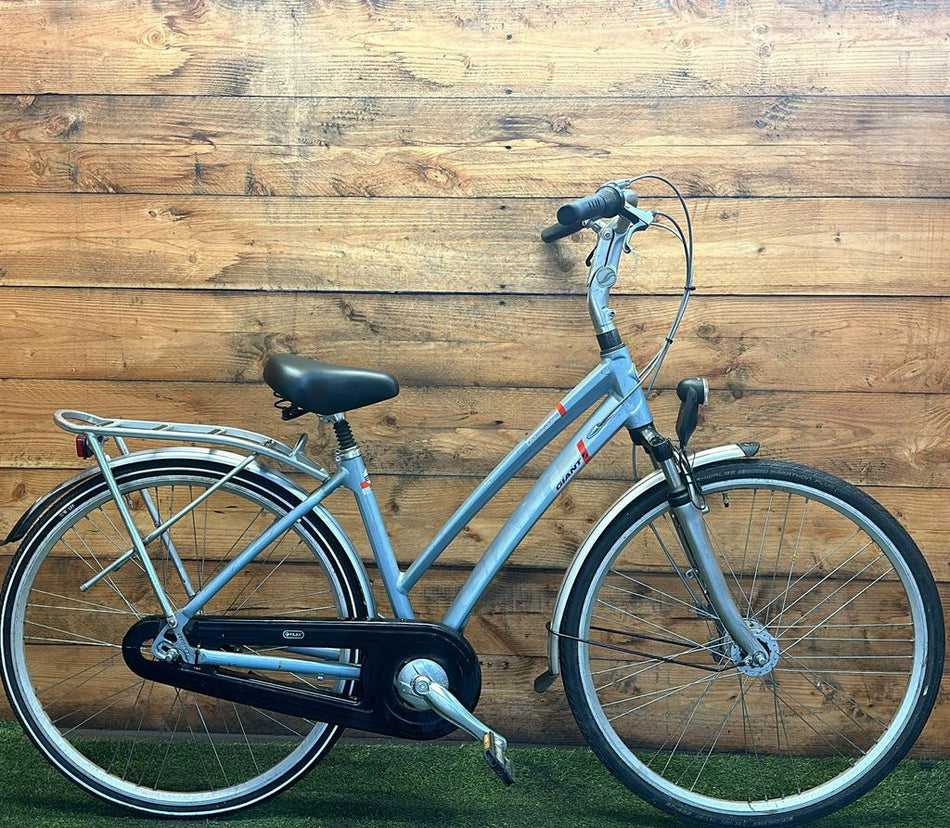 Giant Cosmos 7v 28inch 44cm