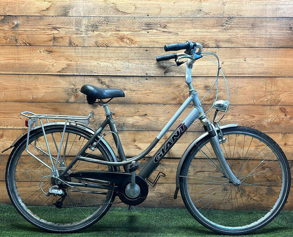 Giant Custom 8v 28inch 48cm