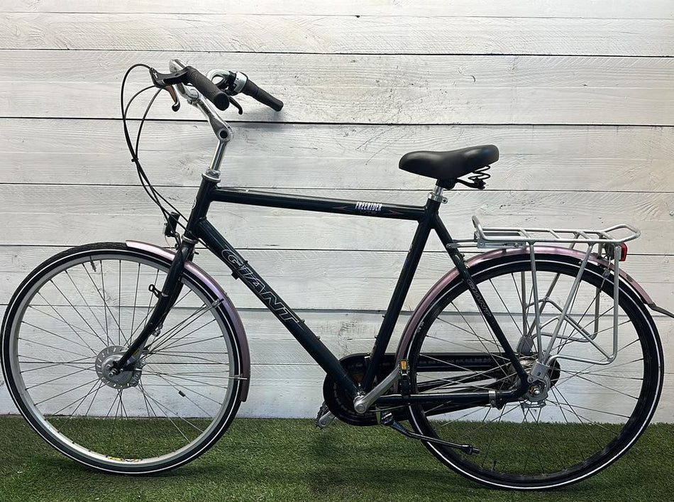 Giant Freerider