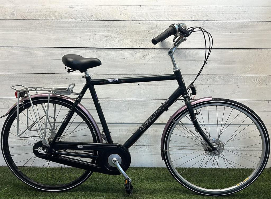 Giant Freerider