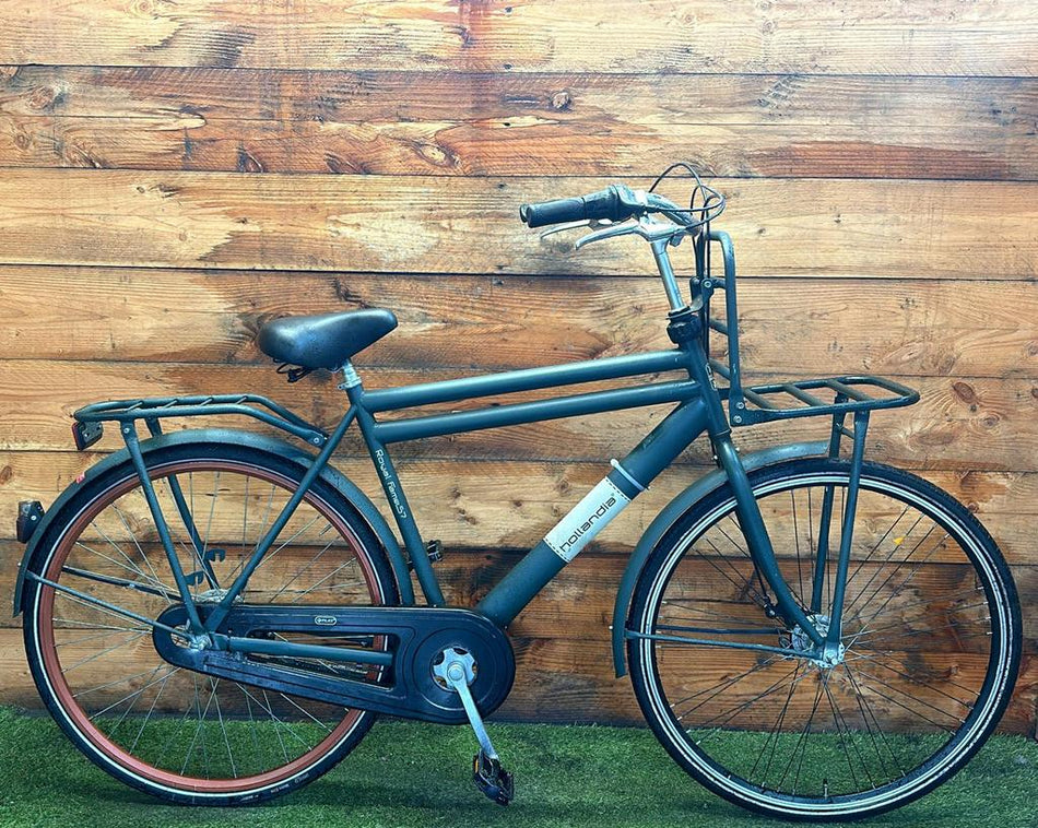 Hollandia Royal Fame 7v 28inch 57cm