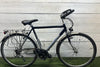 Koga Miyata Adventure
