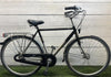Koga Miyata