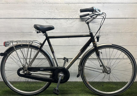 Koga Miyata - Miniatuur 1