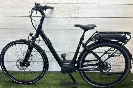 Pegasus E-bike - Miniatuur 2