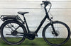 Pegasus E-bike