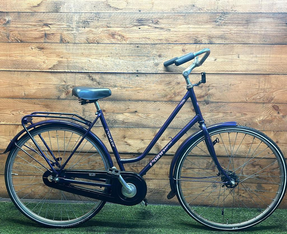 Pointer Arena 28inch 53cm