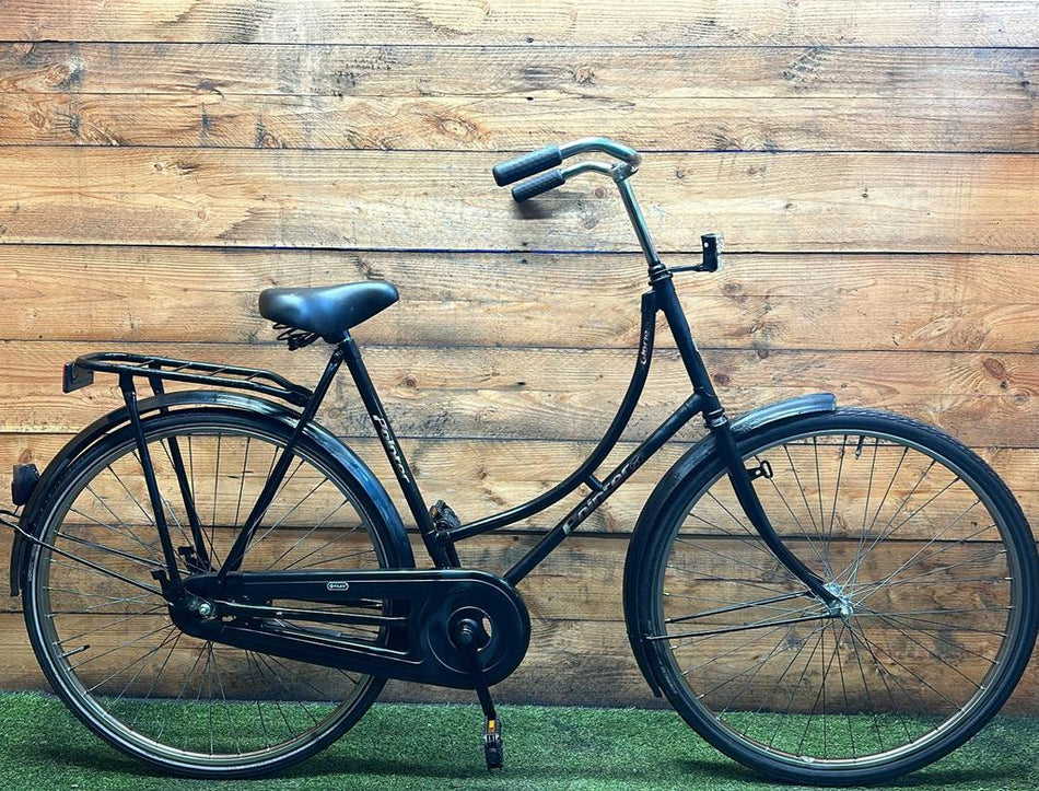 Pointer Glorie 28inch 57cm