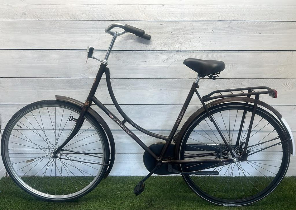 Pointer Omafiets