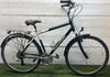 Raleigh C40