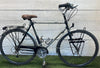 Raleigh Eagle