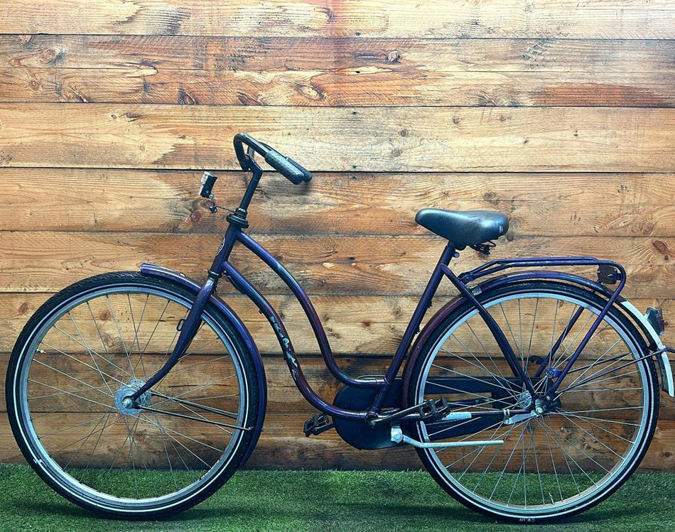 Rivel Damesfiets 28inch 53cm