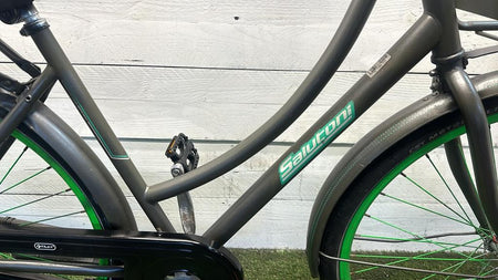 Salutoni Transportfiets - Miniatuur 2