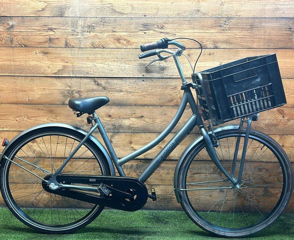 Spedition Dutch Flavor 3v 28inch 53cm