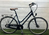 Trek Navigator L300