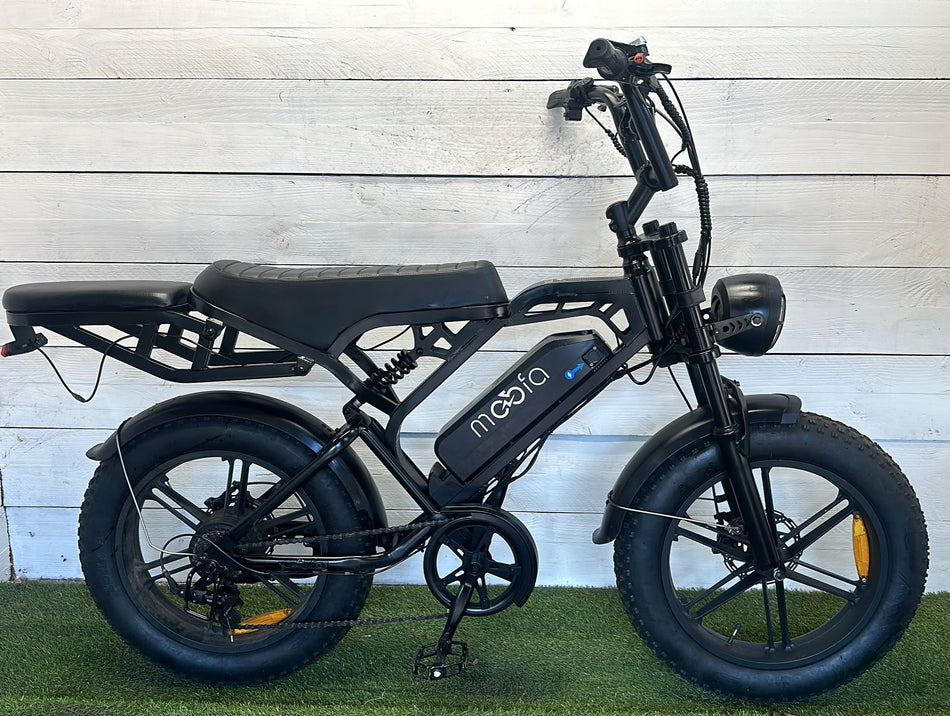 Fatbike