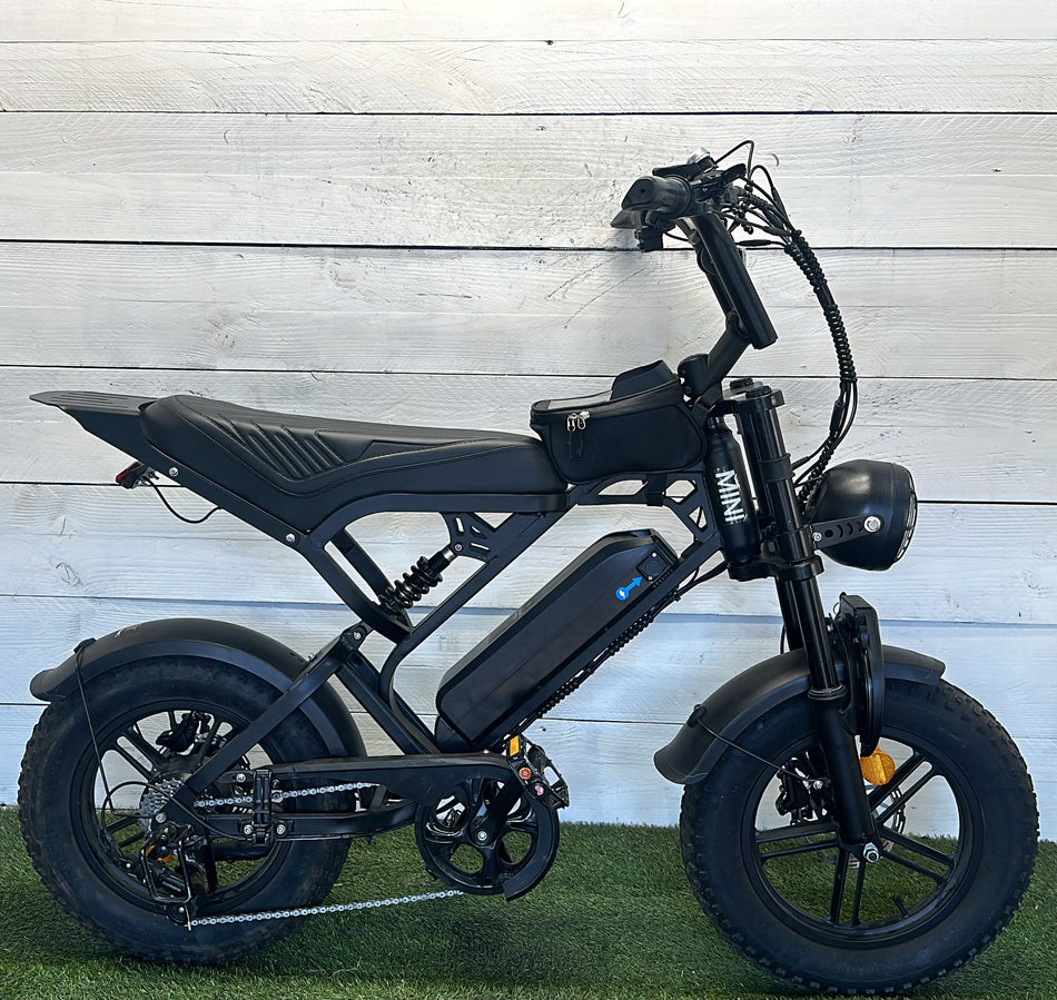 Fatbike Mini