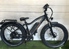 Rad Power Bikes – RadRhino 5