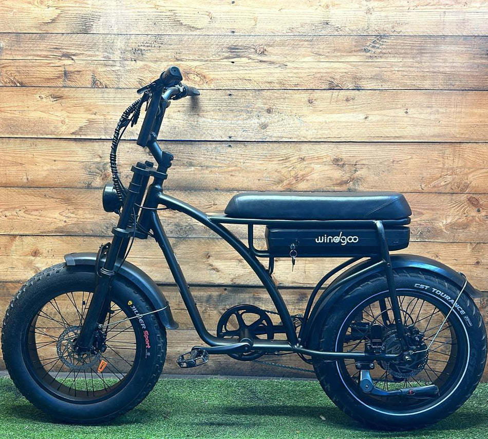 Windgoo Fatbike 7v 20inch